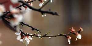 ΦΩΤΟΓΡΑΦΙΑ: EUROKINISSI