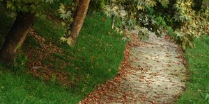 ΦΩΤΟΓΡΑΦΙΑ: EUROKINISSI