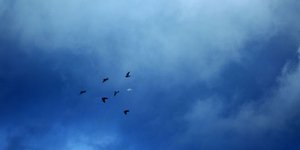 ΦΩΤΟΓΡΑΦΙΑ: EUROKINISSI