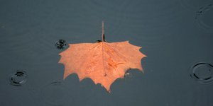 ΦΩΤΟΓΡΑΦΙΑ: EUROKINISSI