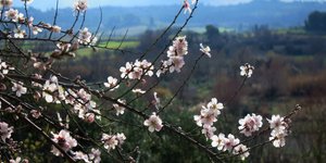 ΦΩΤΟΓΡΑΦΙΑ: EUROKINISSI