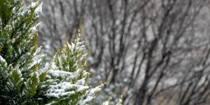 ΦΩΤΟΓΡΑΦΙΑ: EUROKINISSI