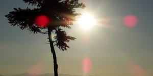 ΦΩΤΟΓΡΑΦΙΑ: EUROKINISSI