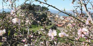 ΦΩΤΟΓΡΑΦΙΑ: EUROKINISSI