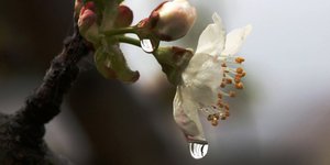 ΦΩΤΟΓΡΑΦΙΑ: EUROKINISSI