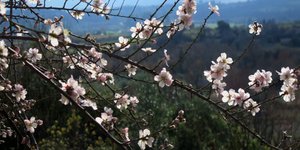 ΦΩΤΟΓΡΑΦΙΑ: EUROKINISSI