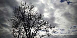 ΦΩΤΟΓΡΑΦΙΑ: EUROKINISSI