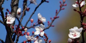 ΦΩΤΟΓΡΑΦΙΑ: EUROKINISSI