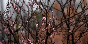 ΦΩΤΟΓΡΑΦΙΑ: EUROKINISSI