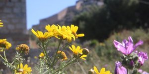 ΦΩΤΟΓΡΑΦΙΑ: EUROKINISSI