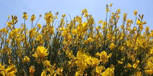 ΦΩΤΟΓΡΑΦΙΑ: EUROKINISSI