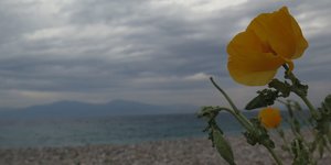 ΦΩΤΟΓΡΑΦΙΑ: EUROKINISSI/ΤΑΤΙΑΝΑ ΜΠΟΛΑΡΗ