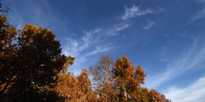 ΦΩΤΟΓΡΑΦΙΑ: EUROKINISSI