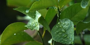 ΦΩΤΟΓΡΑΦΙΑ: EUROKINISSI