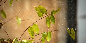 ΦΩΤΟΓΡΑΦΙΑ: INTIIME NEWS /ΜΠΑΜΠΟΥΚΟΣ ΓΙΩΡΓΟΣ