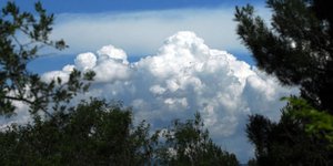 ΦΩΤΟΓΡΑΦΙΑ: EUROKINISSI/ΘΑΝΑΣΗΣ ΚΑΛΛΙΑΡΑΣ