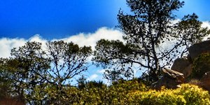 ΦΩΤΟΓΡΑΦΙΑ: EUROKINISSI/ΓΙΩΡΓΟΣ ΚΟΝΤΑΡΙΝΗΣ