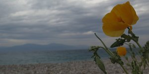 ΦΩΤΟΓΡΑΦΙΑ: EUROKINISSI