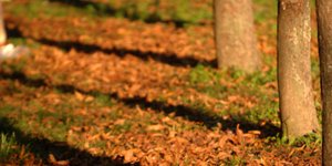 ΦΩΤΟΓΡΑΦΙΑ: EUROKINISSI