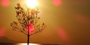 ΦΩΤΟΓΡΑΦΙΑ: EUROKINISSI