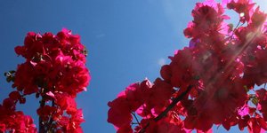 EUROKINISSI-ΠΑΠΑΔΟΠΟΥΛΟΣ ΒΑΣΙΛΗΣ