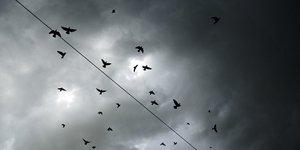 Φωτογραφία: Eurokinisssi