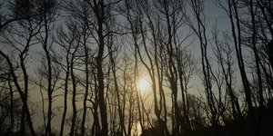 Φωτογραφία: intimenews.gr