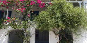 ΦΩΤΟΓΡΑΦΙΑ: EUROKINISSI /ΓΙΩΡΓΟΣ ΚΟΝΤΑΡΙΝΗΣ