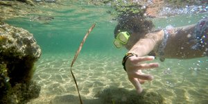 Στιγμιότυπο από την παραλία του Ρωμανου στη Μεσσηνία (Φωτογραφία: ΑΝΤΩΝΗΣ ΝΙΚΟΛΟΠΟΥΛΟΣ/EUROKINISSI)