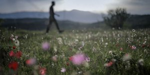 (Φωτογραφία: IntimeNews/ΤΟΣΙΔΗΣ ΔΗΜΗΤΡΗΣ)