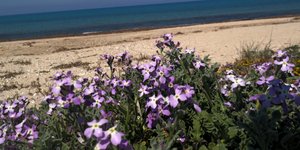 ΦΩΤΟΓΡΑΦΙΑ: EUROKINISSI / ΓΕΩΡΓΙΑ ΠΑΝΑΓΟΠΟΥΛΟΥ