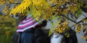 Φωτογραφία: ΚΑΛΛΙΑΡΑΣ ΘΑΝΑΣΗΣ/Eurokinissi