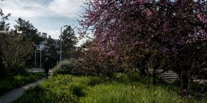 Φωτογραφία: Konstantinos Tsakalidis / SOOC