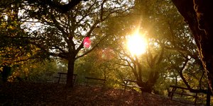 Φωτογραφία: Eurokinissi