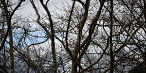 Άνοδος της θερμοκρασίας σήμερα