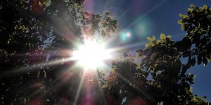 ΦΩΤΟΓΡΑΦΙΑ: EUROKINISSI