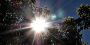 ΦΩΤΟΓΡΑΦΙΑ: EUROKINISSI