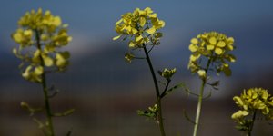 Φωτογραφία Eurokinissi