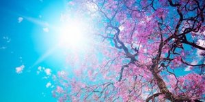 Καλός ο καιρός την Παρασκευή με άνοδο της θερμοκρασίας: Τους 26 βαθμούς θα «χτυπ