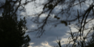 Φωτογραφία: intimenews.gr