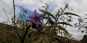 Συννεφιασμένος ο καιρός την Τρίτη -Που θα σημειωθούν ομίχλες