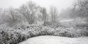 Φωτογραφία: Konstantinos Tsakalidis / SOOC