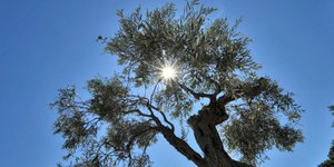 Φωτογραφία: EUROKINISSI/ΘΑΝΑΣΗΣ ΚΑΛΛΙΑΡΑΣ