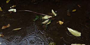 Φωτογραφία: SOOC