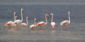 Μικρή άνοδος της θερμοκρασίας την Τρίτη/ Φωτογραφία: ΑΠΕ-ΜΠΕ- ΜΠΟΥΓΙΩΤΗΣ ΕΥΑΓΓΕΛΟΣ