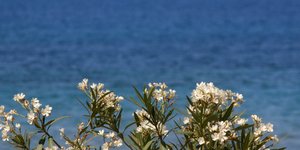 Φωτογραφία: EUROKINISSI/ ΒΑΣΙΛΗΣ ΠΑΠΑΔΟΠΟΥΛΟΣ