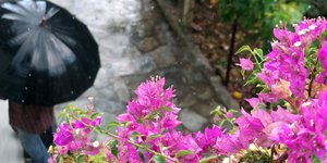 Φωτογραφία: EUROKINISSI/ ΓΙΩΡΓΟΣ ΚΟΝΤΑΡΙΝΗΣ