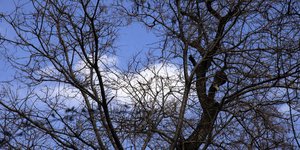 (EUROKINISSI/ ΓΙΩΡΓΟΣ ΚΟΝΤΑΡΙΝΗΣ)