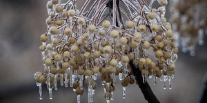 Αισθητή πτώση της θερμοκρασίας την Τετάρτη/ Φωτογραφία: EUROKINISSI- ΘΑΝΑΣΗΣ ΚΑΛΛΙΑΡΑΣ