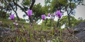 Γενικά αίθριος ο καιρός την Τρίτη/ Φωτογραφία: EUROKINISSI- ΓΙΩΡΓΟΣ ΚΟΝΤΑΡΙΝΗΣ